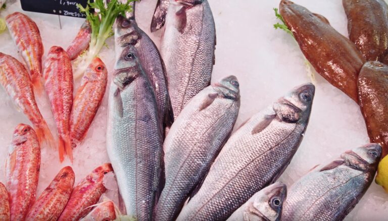 Seafood And Fish Are Safe To Eat Raw